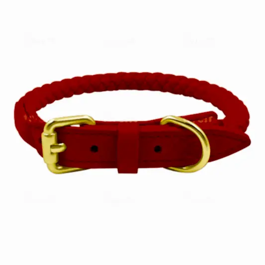 Bailey Pet Collars - Bold and Beautiful Faux Leather - The Smug Dog